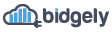 Bidgely - Smart Energy Summit keynote 2020