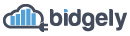 Bidgely - Smart Energy Summit CEO keynote